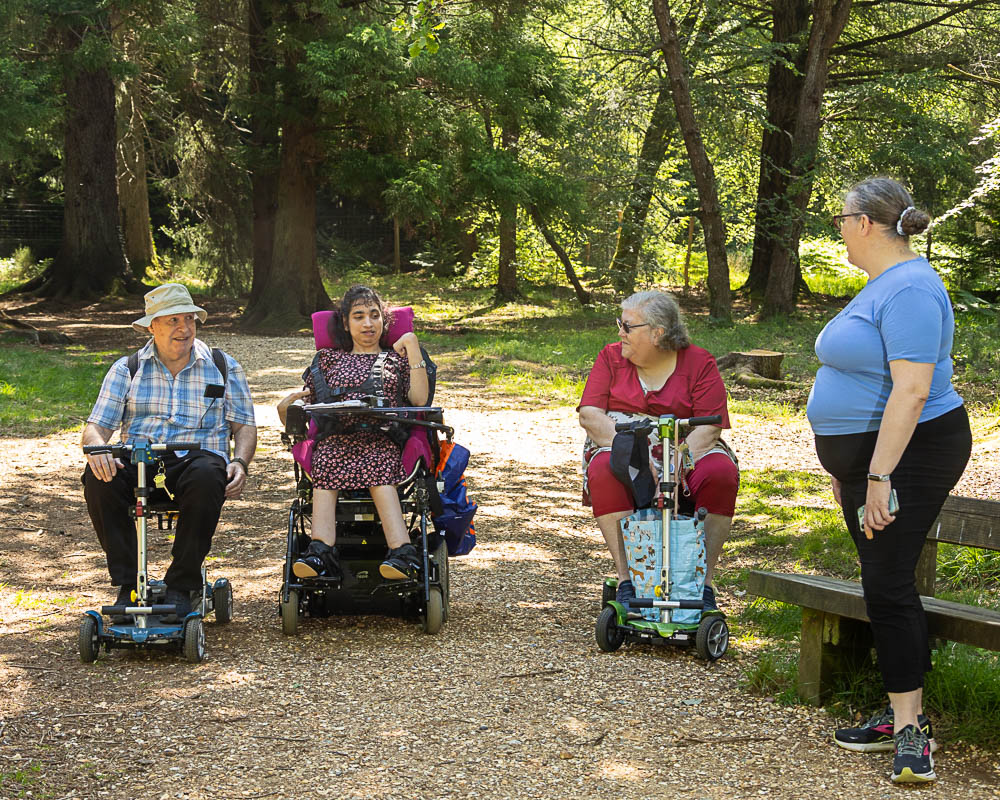 Wheelchair user enjoying an accessible holiday in the New Forest